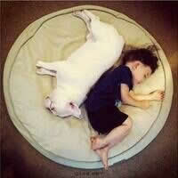 褫憷&mdash;軟件工程師